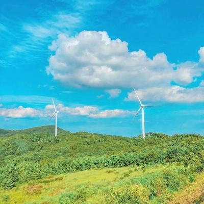 皮尔磁信息安全咨询现采用标准C...